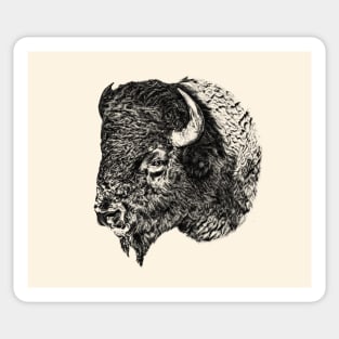 American bison Sticker